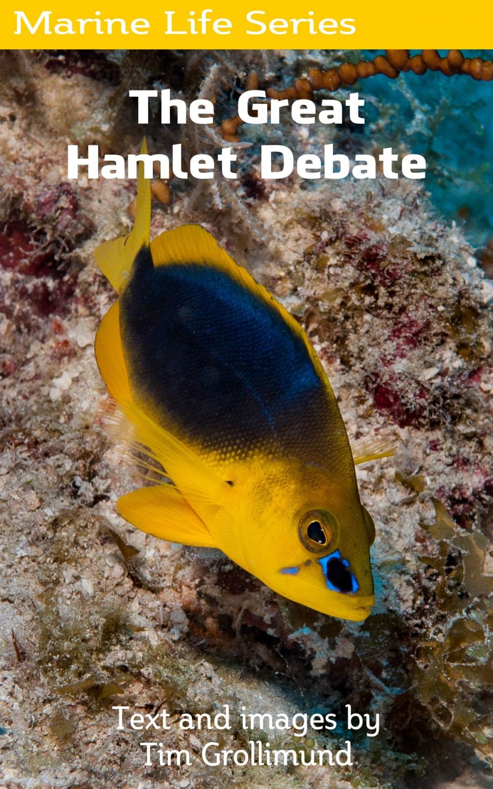 Big bigCover of The Great Hamlet Debate