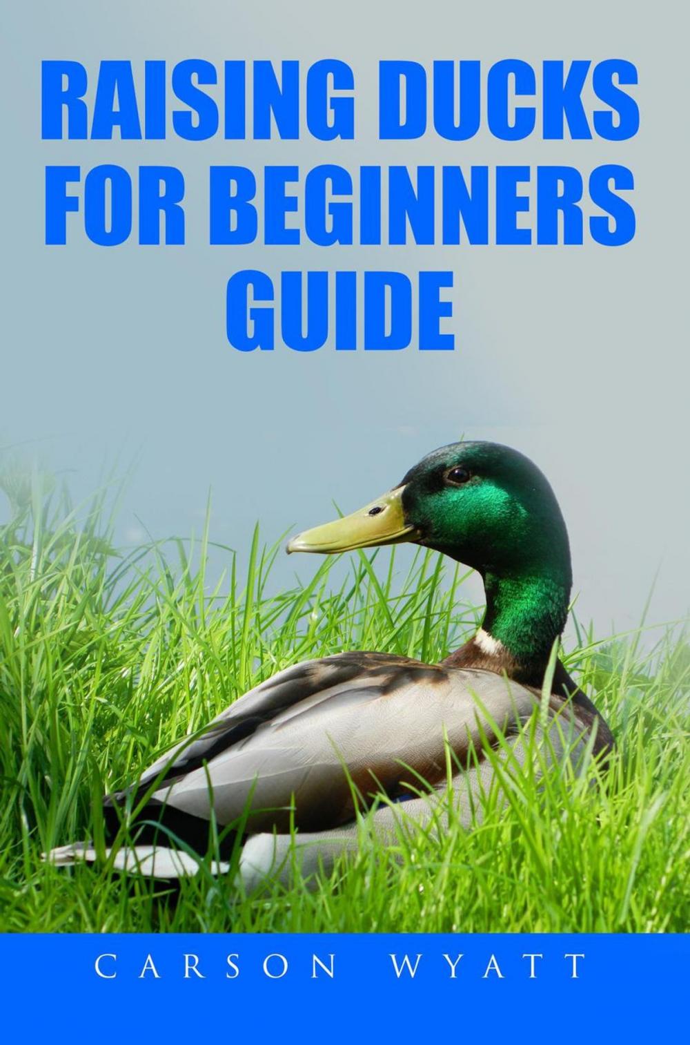 Big bigCover of Raising Ducks for Beginner's Guide