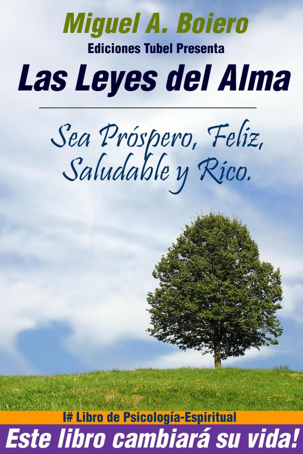 Big bigCover of Las Leyes del Alma