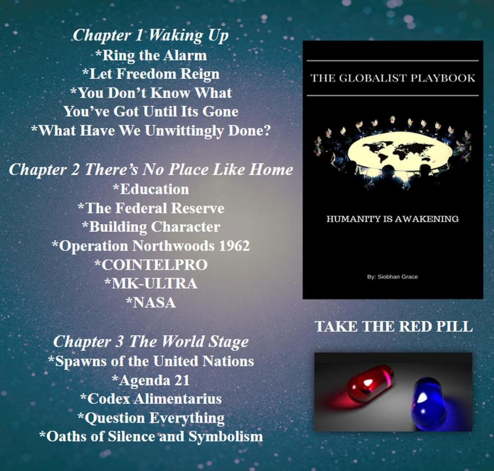 Big bigCover of The Globalist Playbook: Humanity Is Awakening