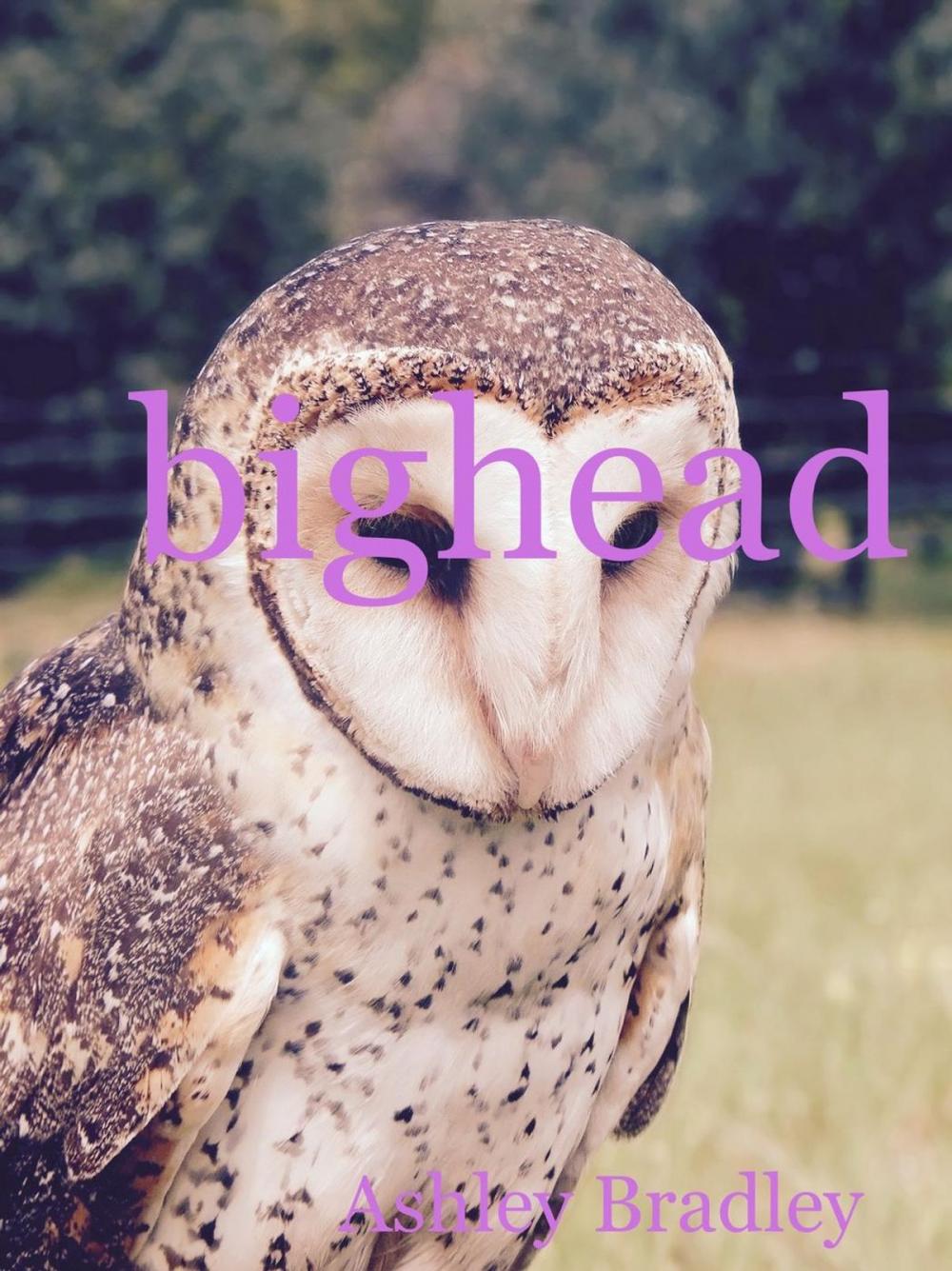 Big bigCover of Bighead