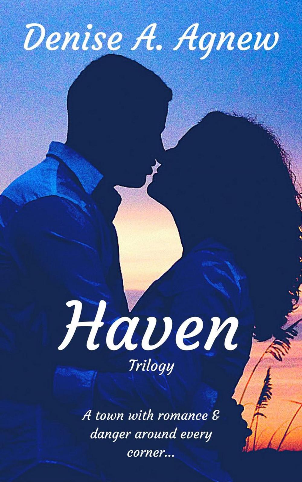 Big bigCover of Haven Trilogy