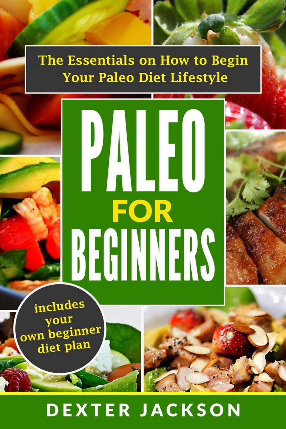 Big bigCover of Paleo for Beginners: The Essentials on How to Begin Your Paleo Diet Lifestyle