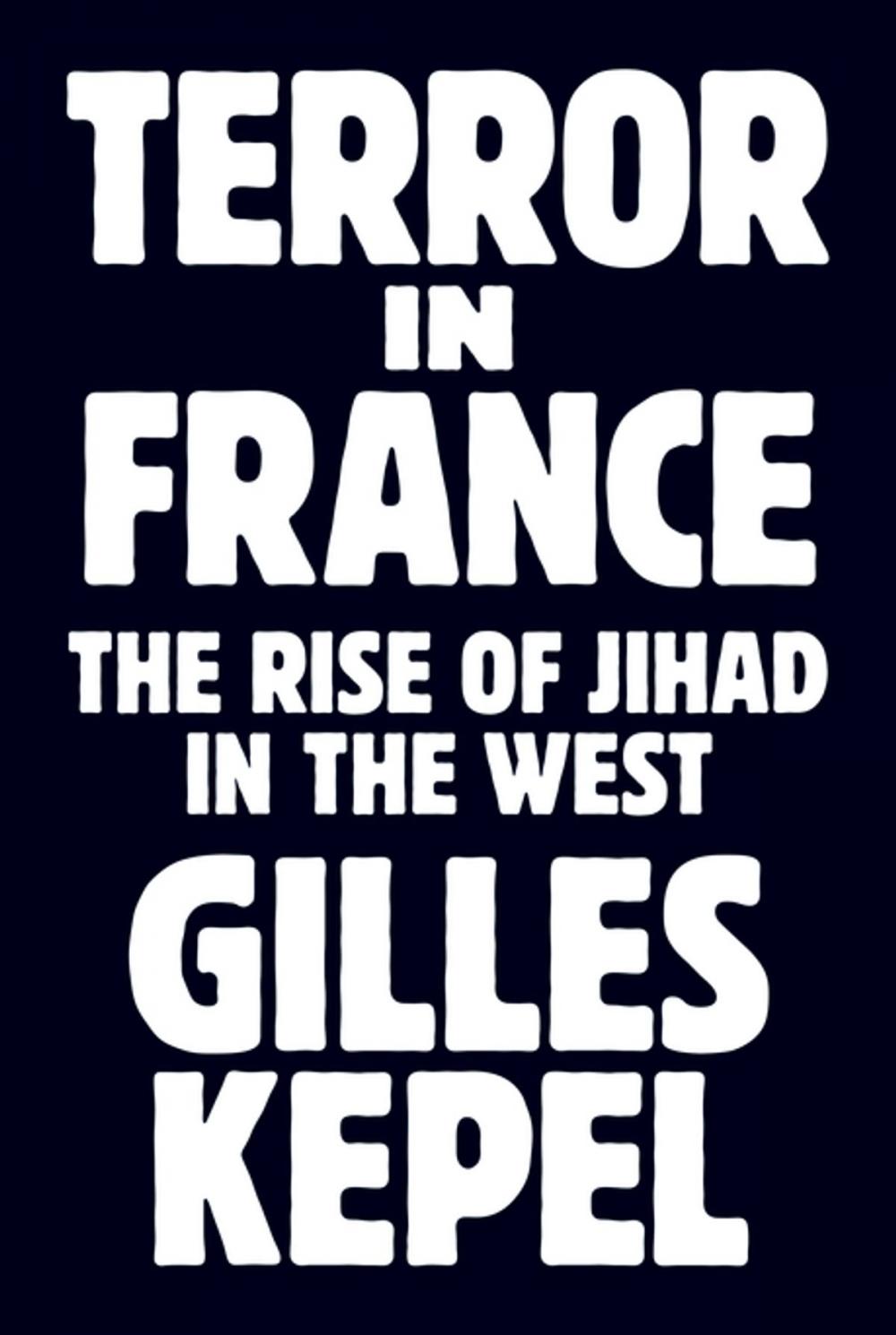 Big bigCover of Terror in France