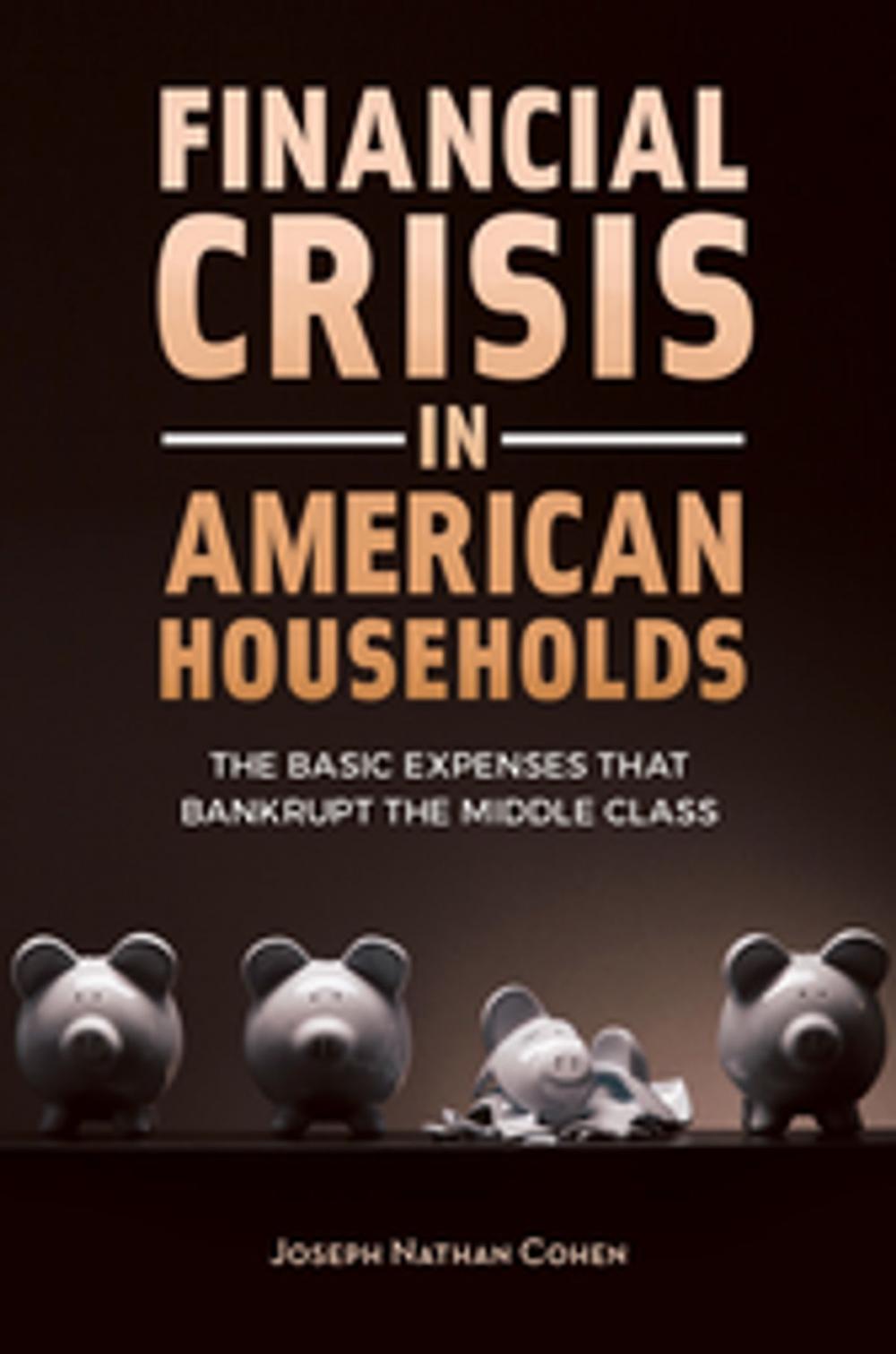 Big bigCover of Financial Crisis in American Households: The Basic Expenses That Bankrupt the Middle Class