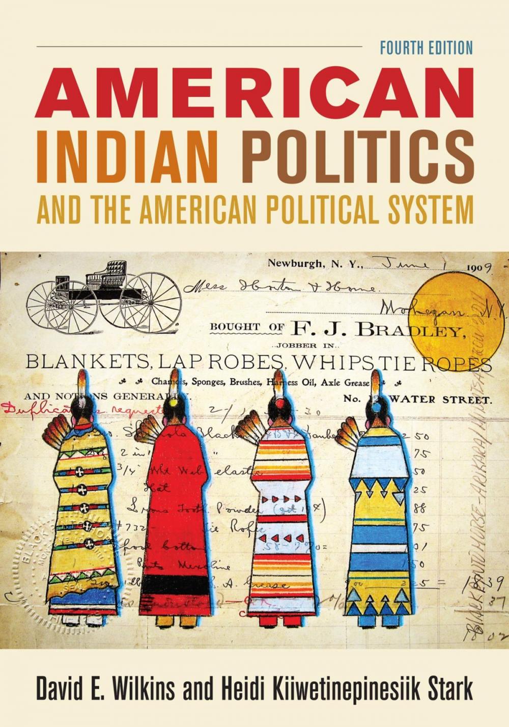 Big bigCover of American Indian Politics and the American Political System