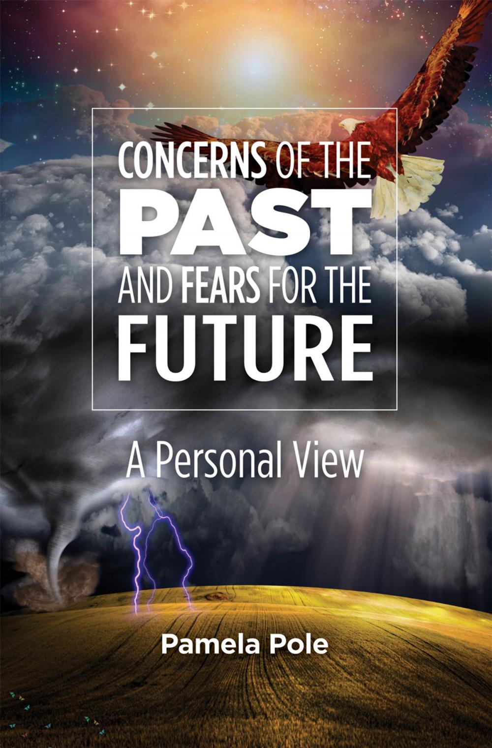 Big bigCover of Concerns of the Past and Fears for the Future