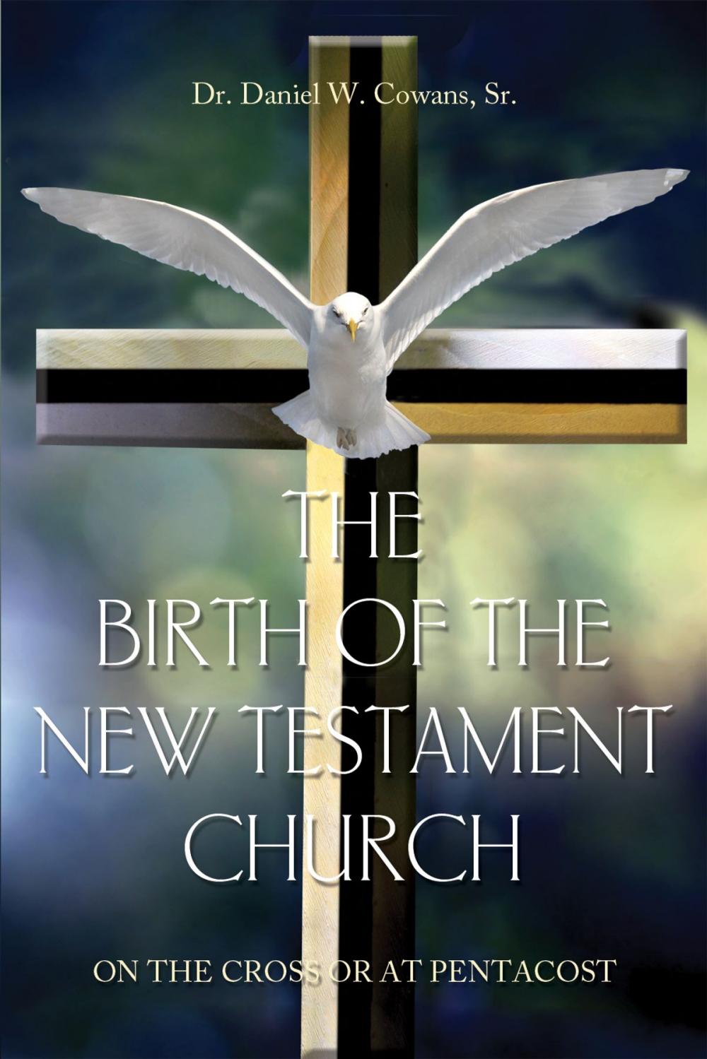 Big bigCover of The Birth of the New Testament Church