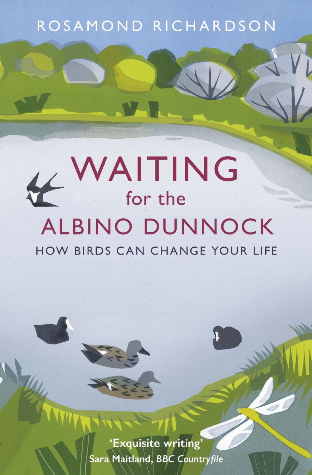 Big bigCover of Waiting for the Albino Dunnock