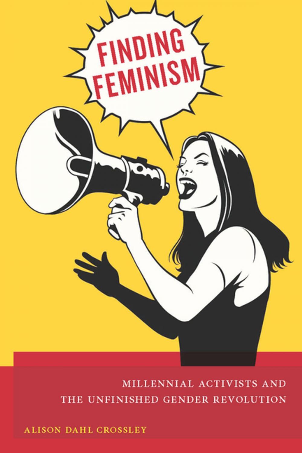 Big bigCover of Finding Feminism