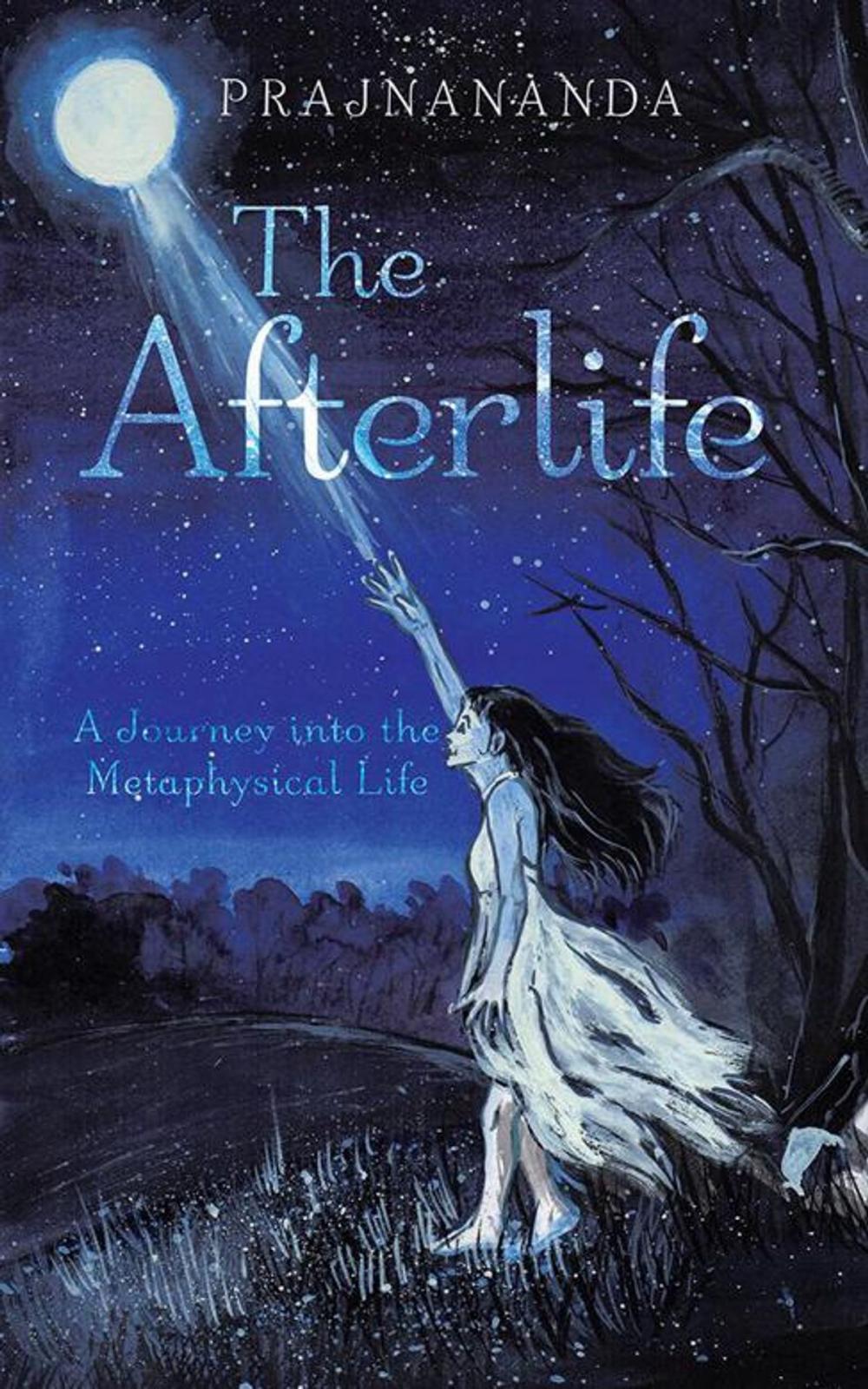 Big bigCover of The Afterlife