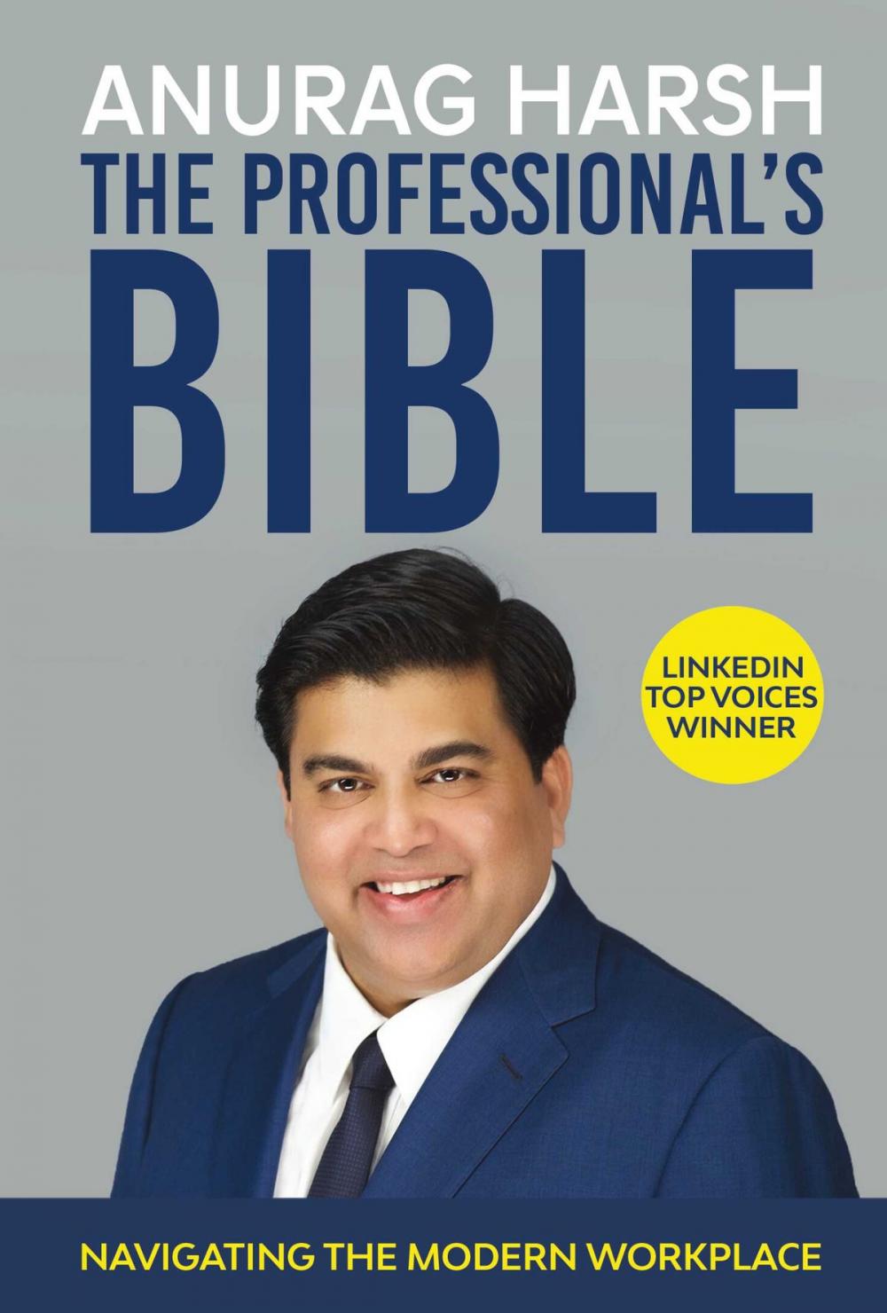 Big bigCover of The Professional’s Bible