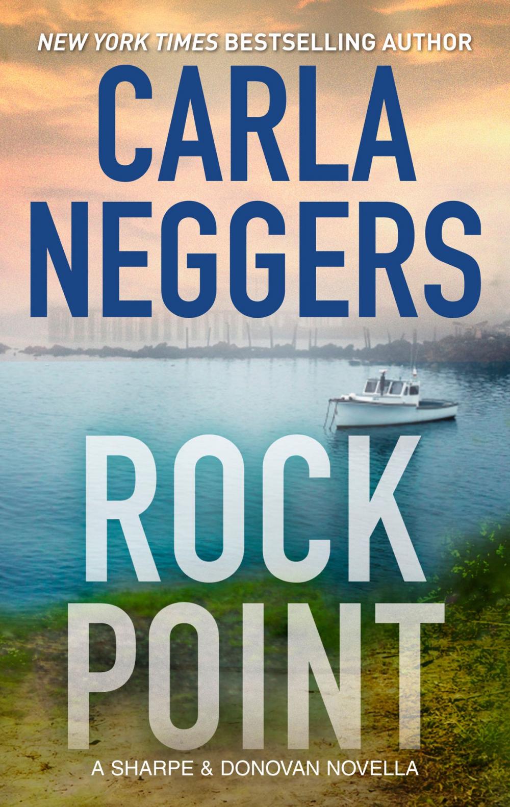 Big bigCover of Rock Point: A Sharpe & Donovan Series Prequel Novella