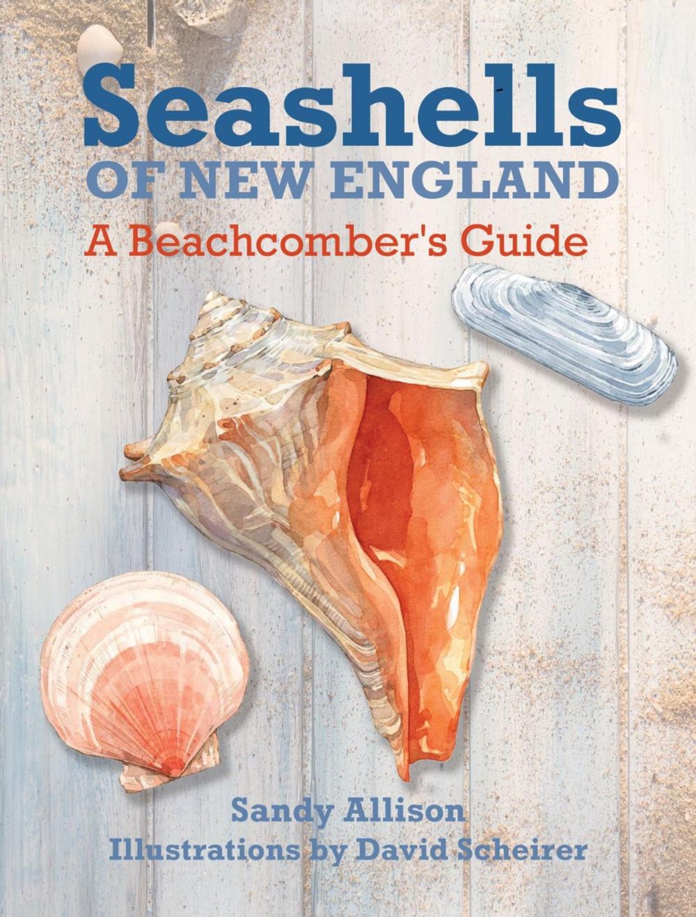 Big bigCover of Seashells of New England