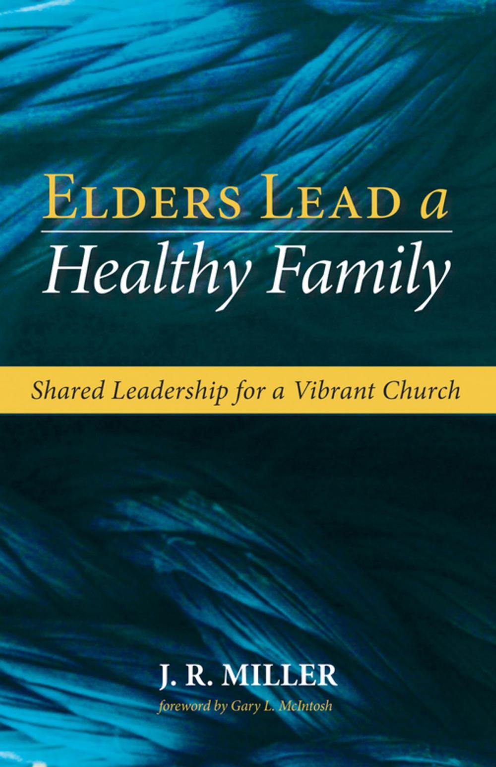 Big bigCover of Elders Lead a Healthy Family