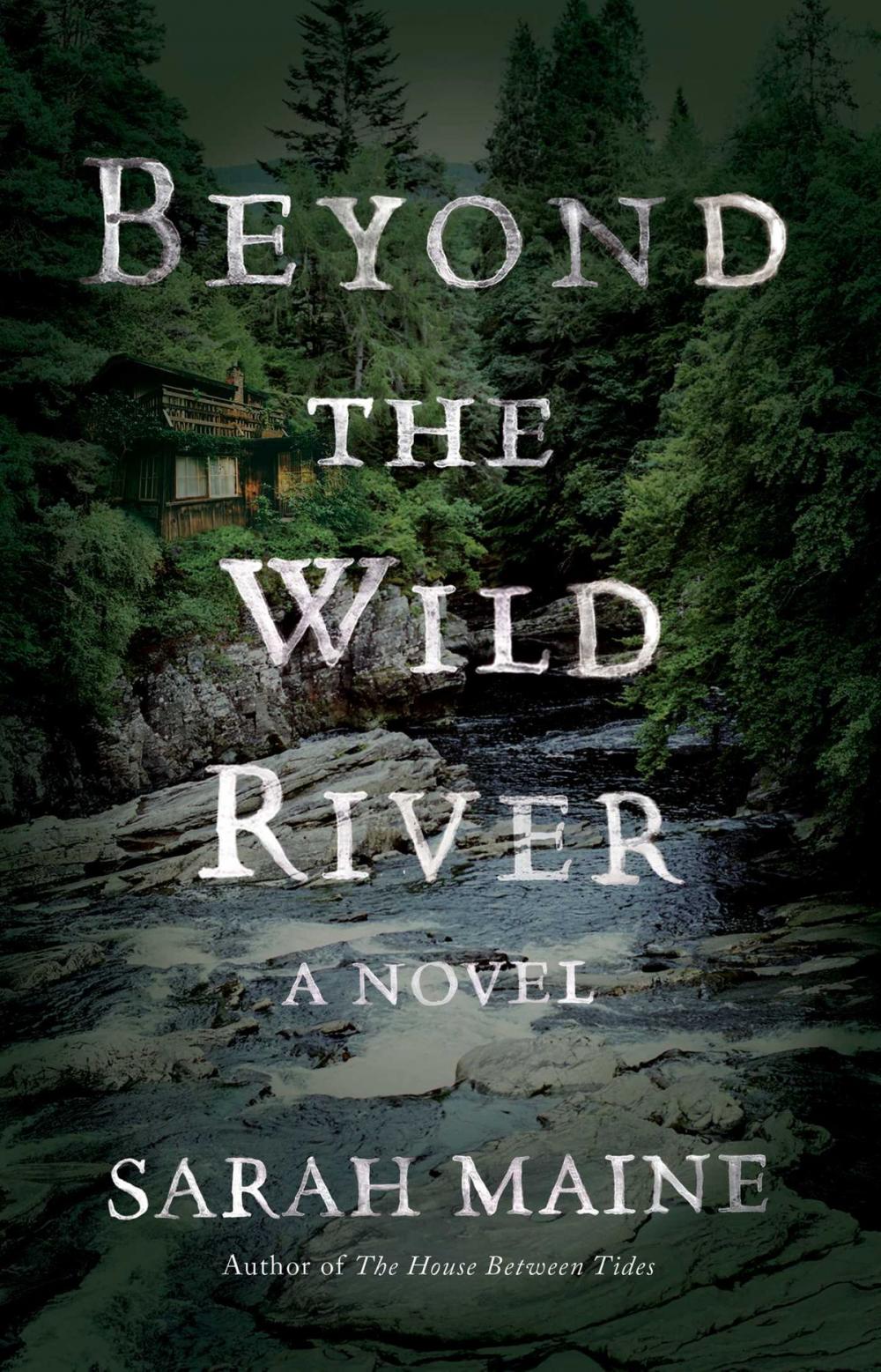 Big bigCover of Beyond the Wild River