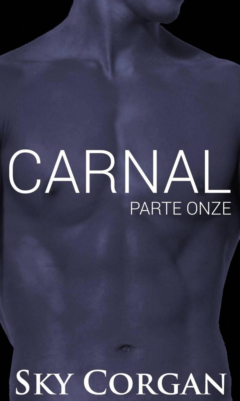 Big bigCover of Carnal: Parte Onze