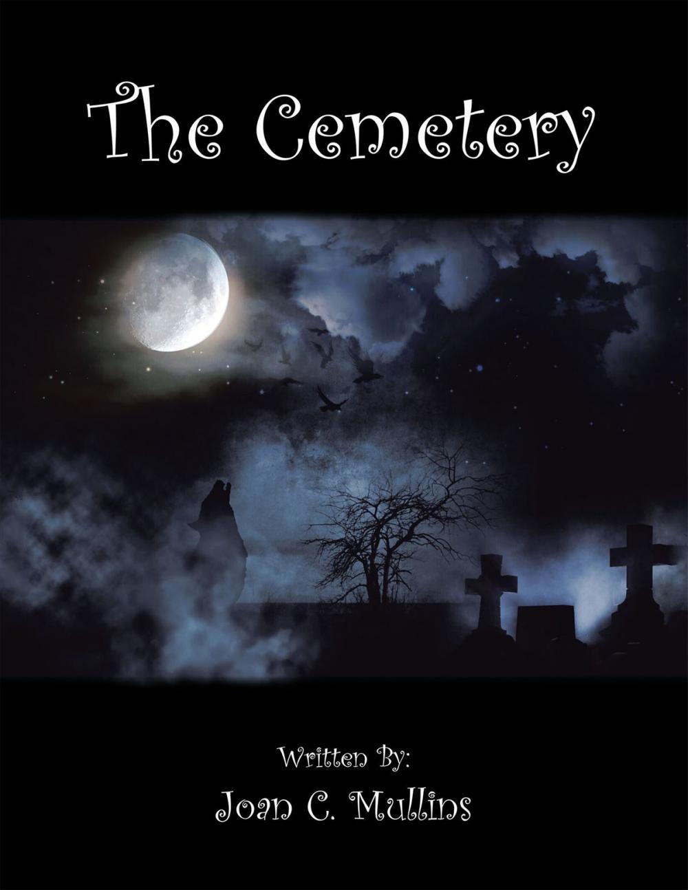 Big bigCover of The Cemetery