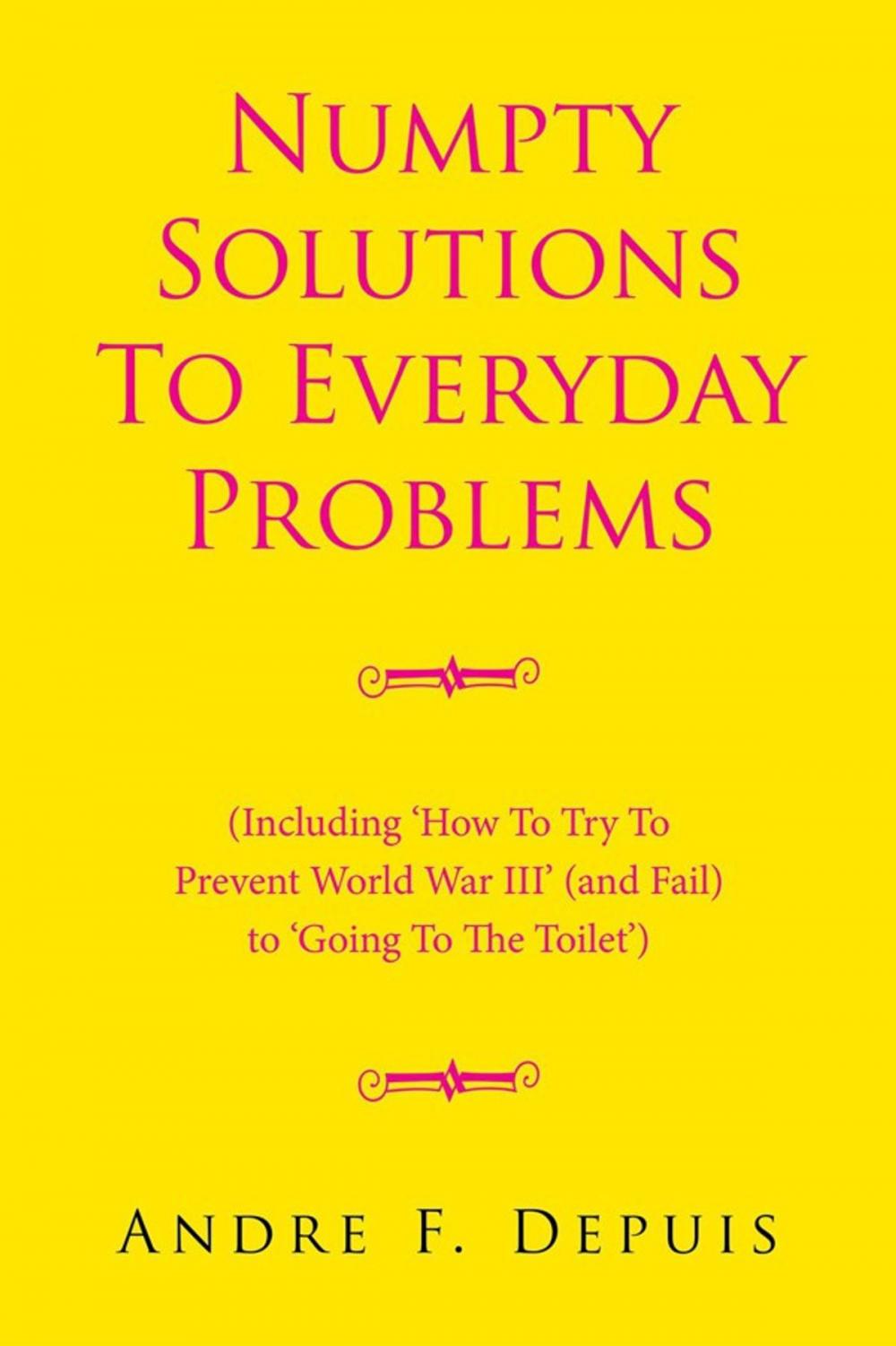 Big bigCover of Numpty Solutions to Everyday Problems