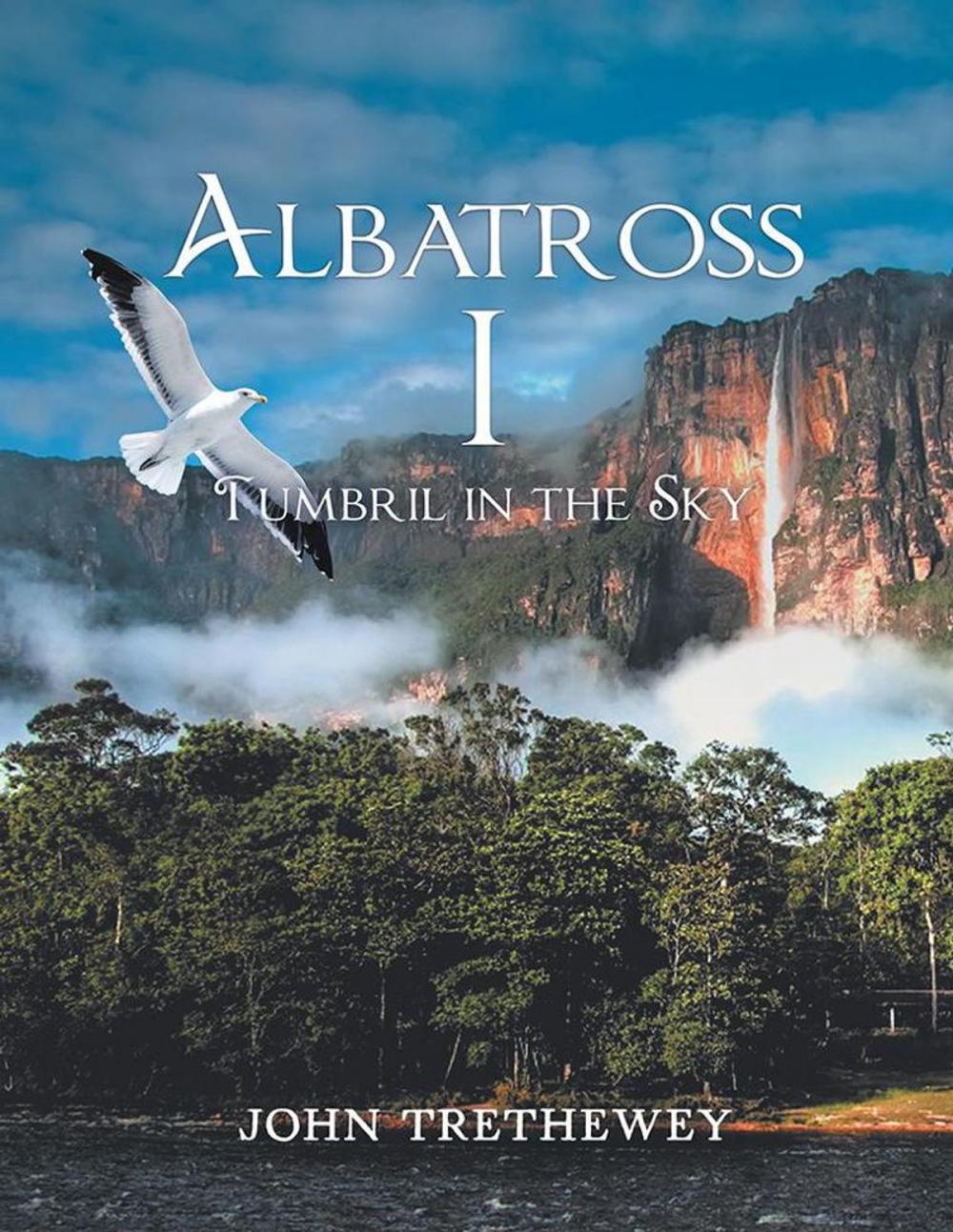 Big bigCover of Albatross I