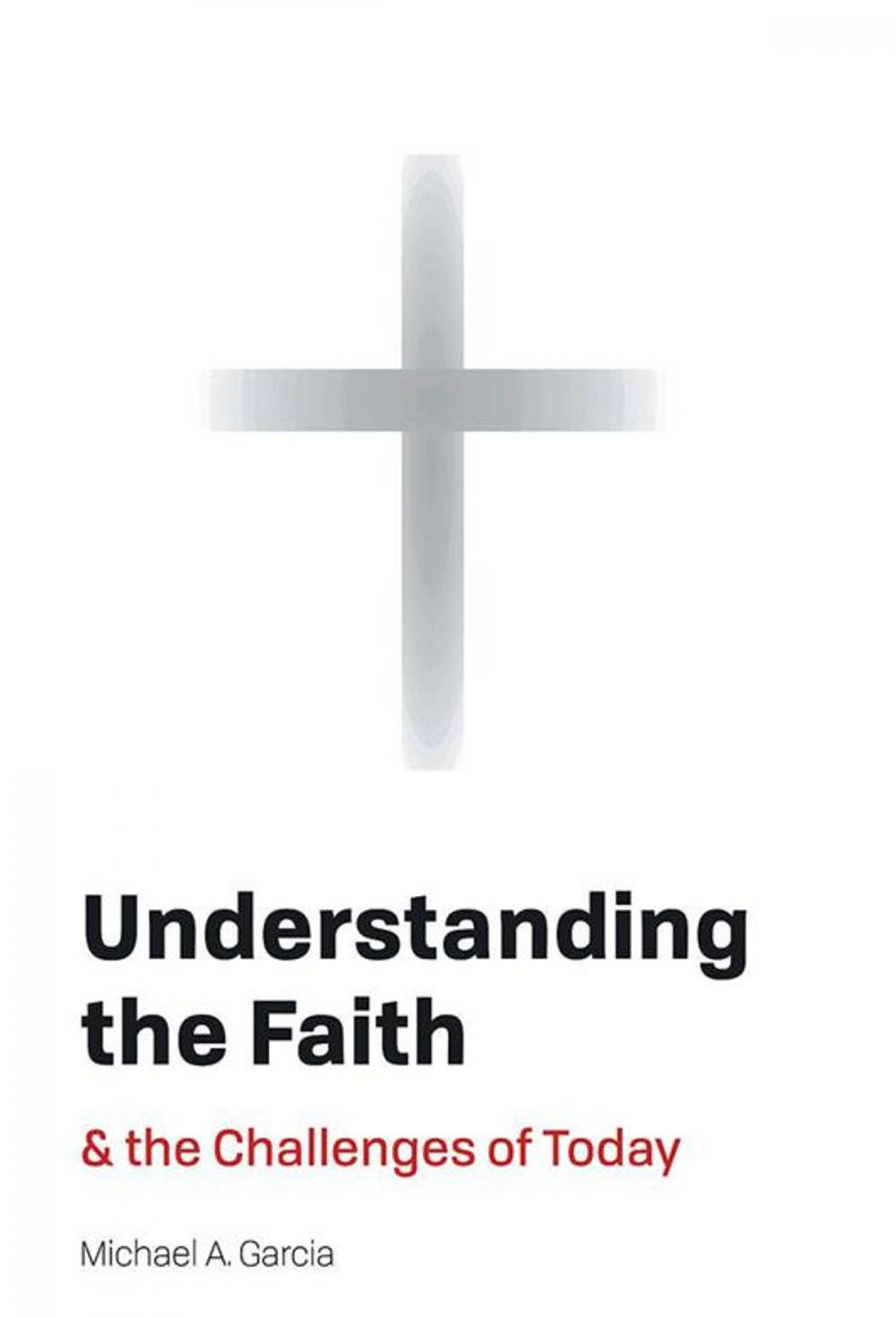 Big bigCover of Understanding the Faith