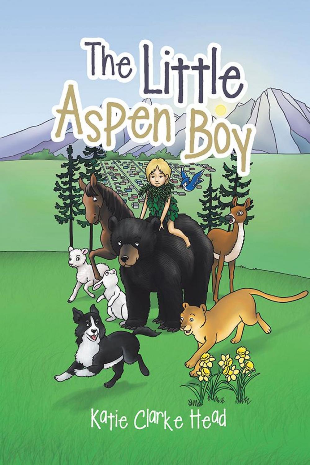 Big bigCover of The Little Aspen Boy