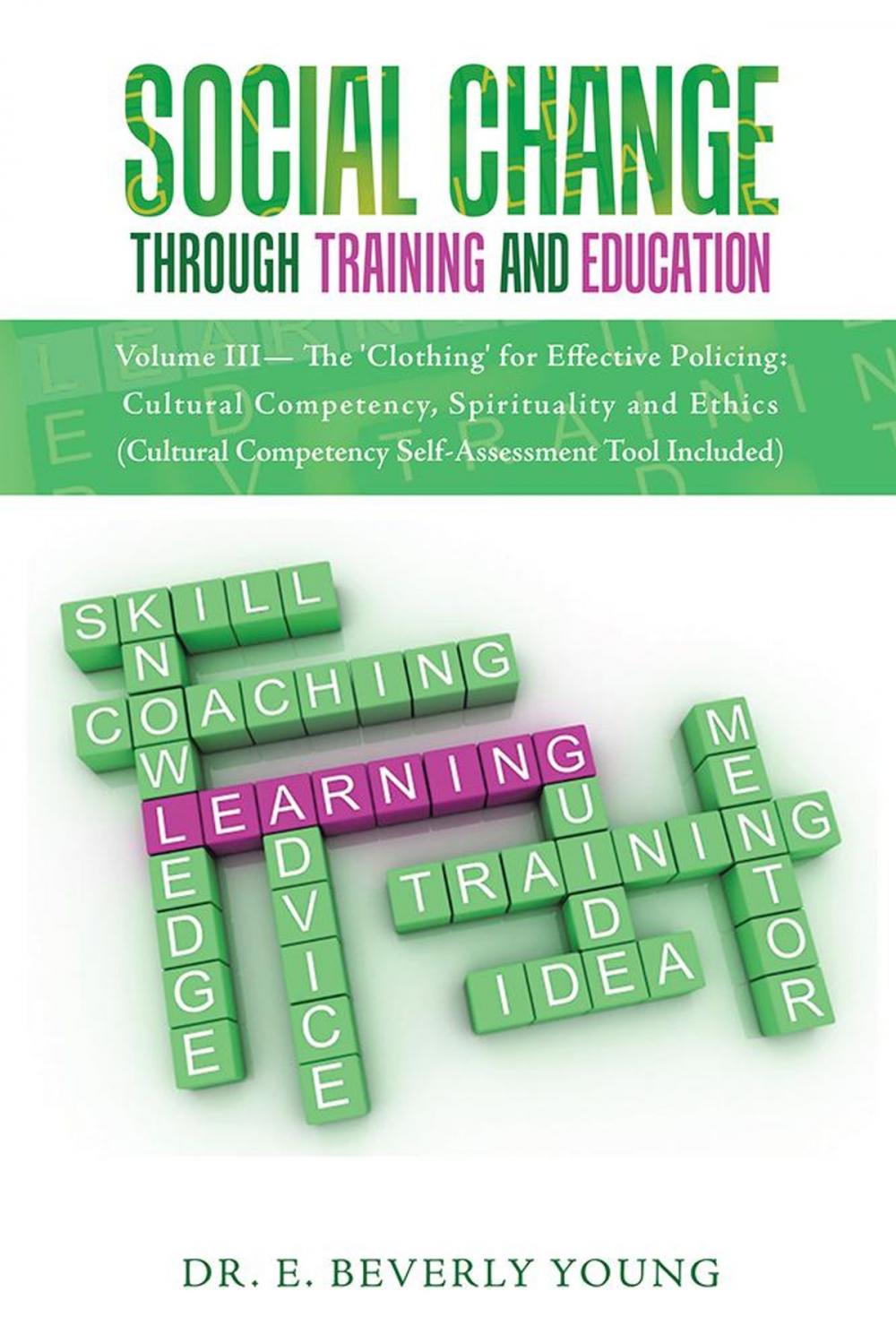 Big bigCover of Social Change Through Training and Education