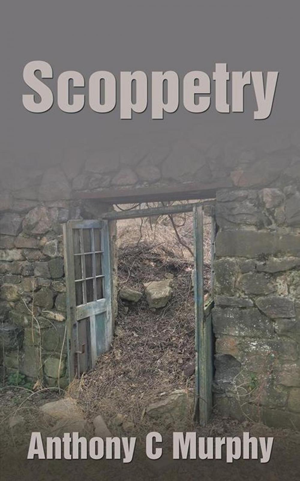 Big bigCover of Scoppetry