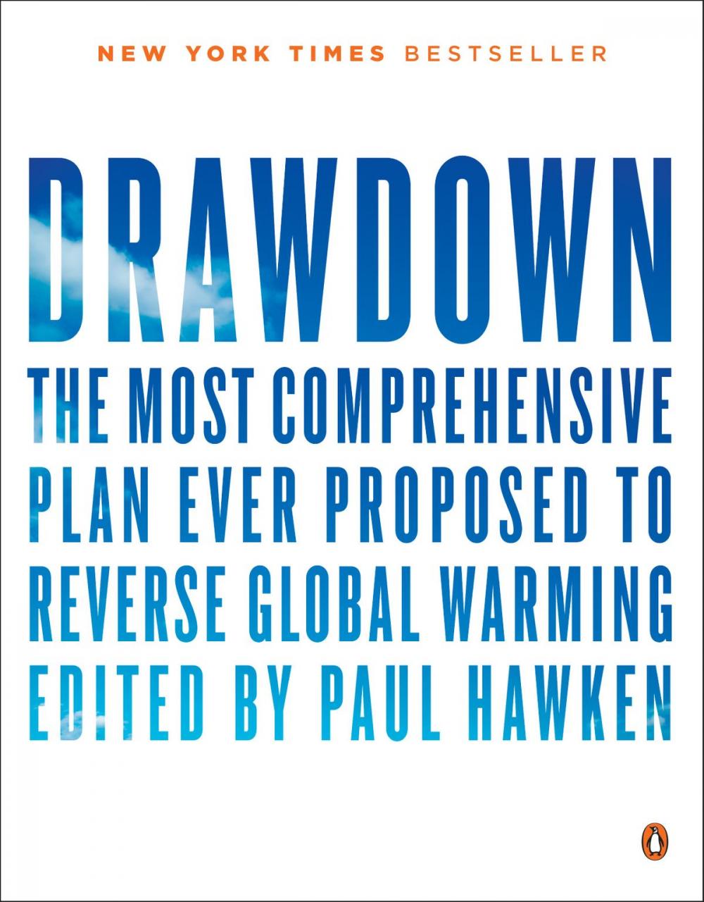 Big bigCover of Drawdown