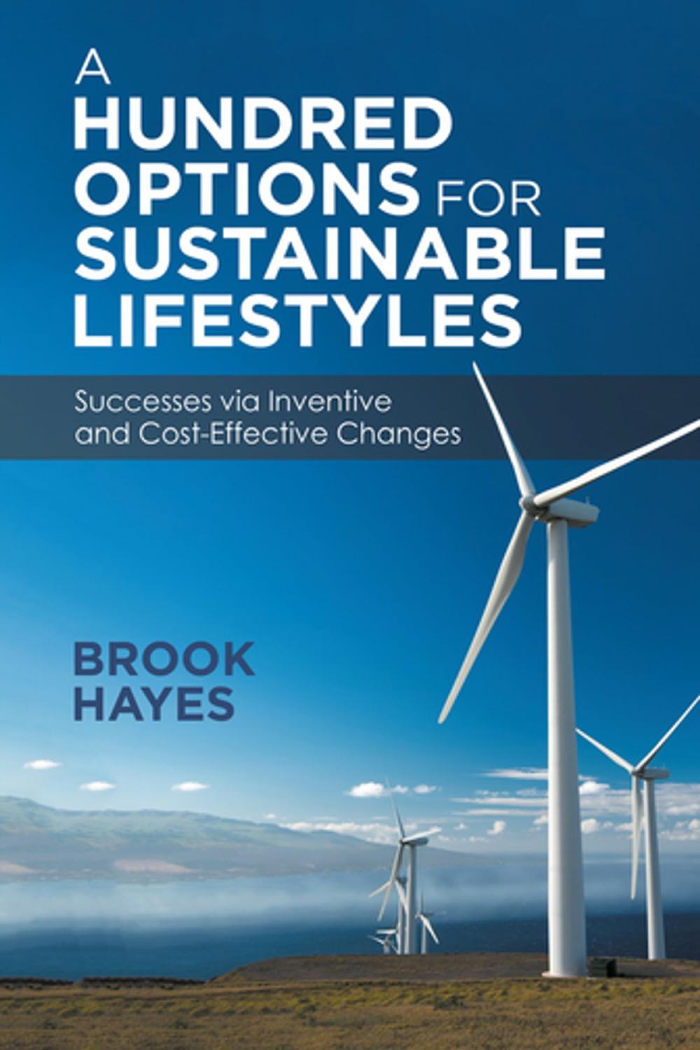 Big bigCover of A Hundred Options for Sustainable Lifestyles