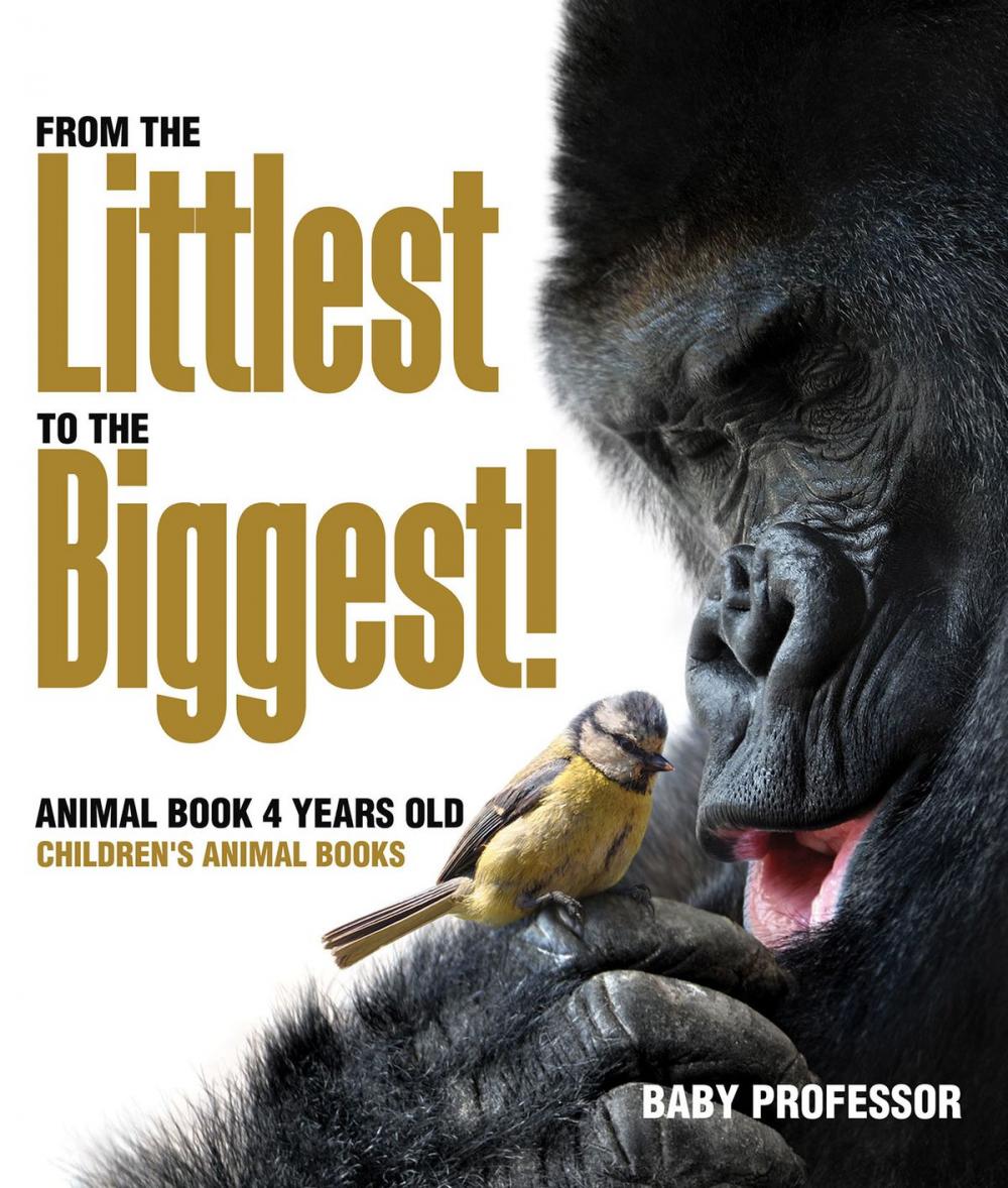 Big bigCover of From the Littlest to the Biggest! Animal Book 4 Years Old | Children's Animal Books