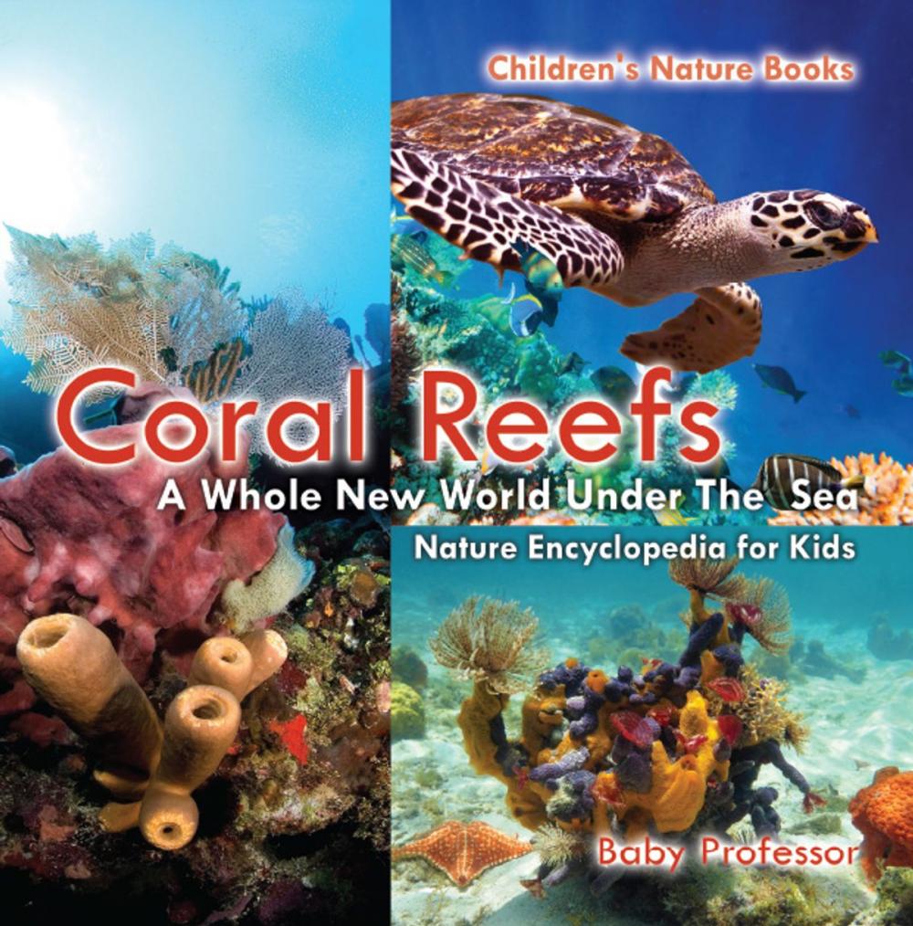 Big bigCover of Coral Reefs : A Whole New World Under The Sea - Nature Encyclopedia for Kids | Children's Nature Books