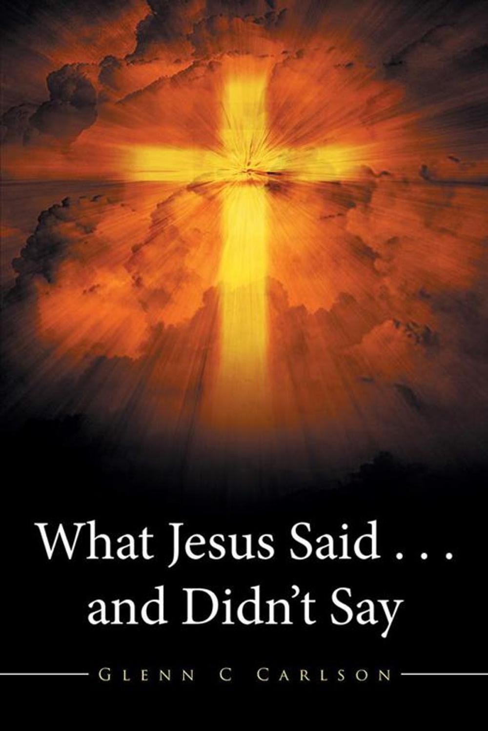 Big bigCover of What Jesus Said . . . and Didn’T Say