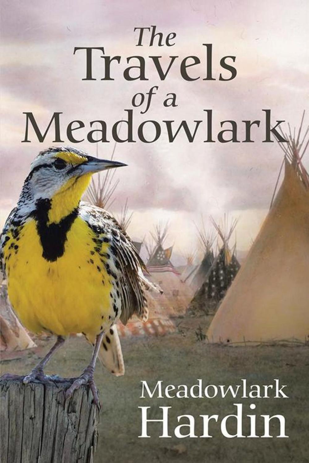 Big bigCover of The Travels of a Meadowlark