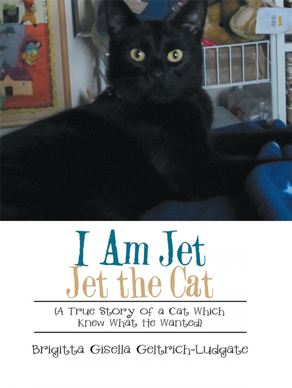 Big bigCover of I Am Jet Jet the Cat