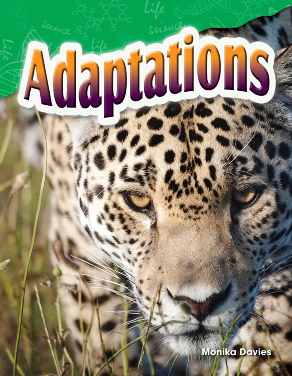 Big bigCover of Adaptations