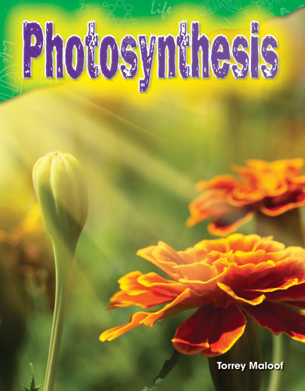 Big bigCover of Photosynthesis