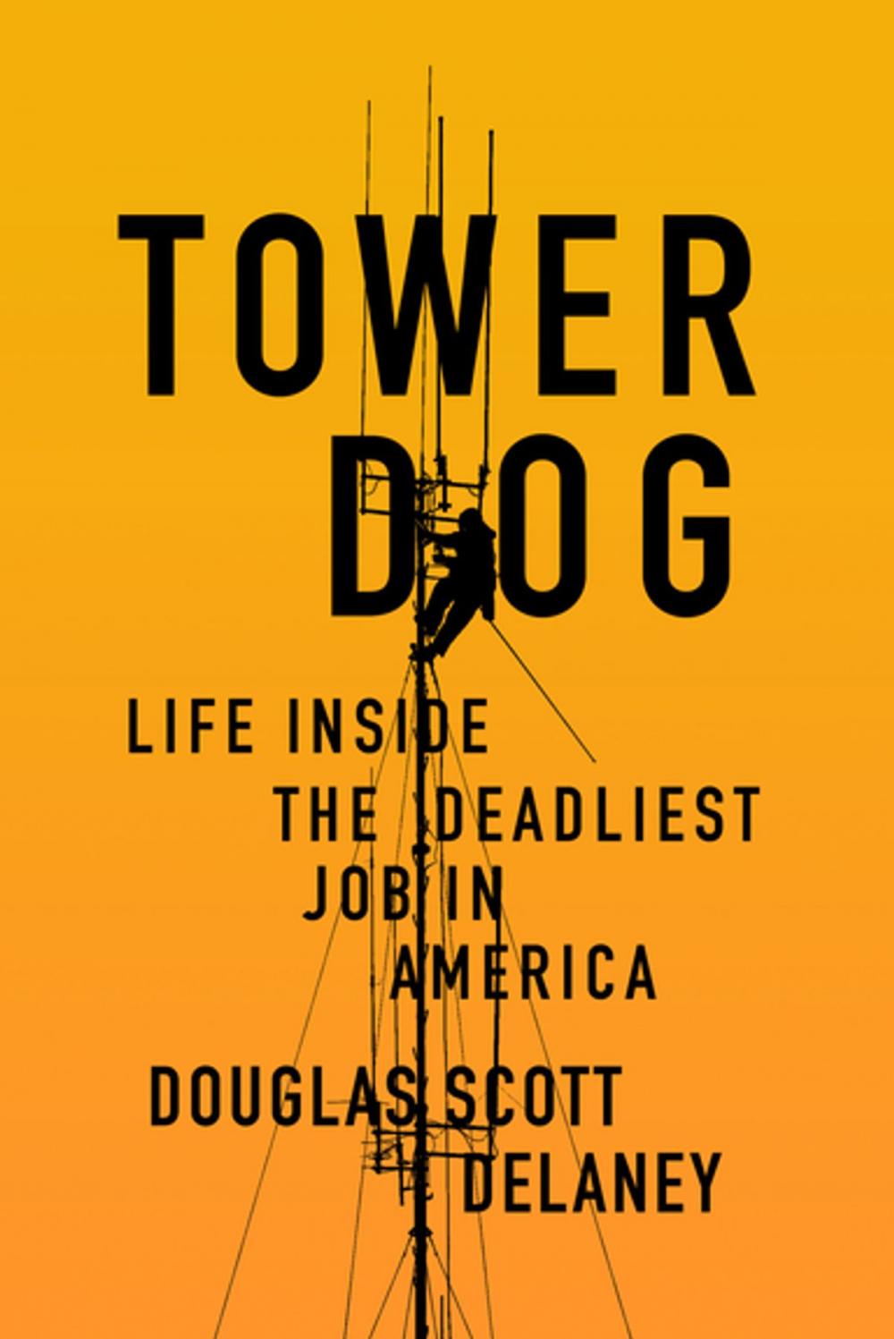 Big bigCover of Tower Dog