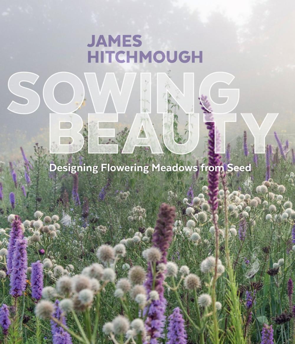 Big bigCover of Sowing Beauty