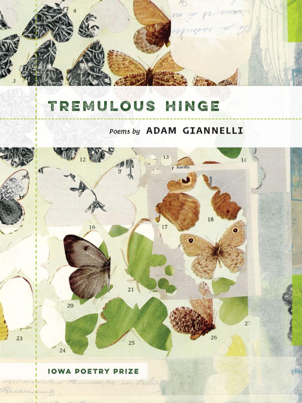 Big bigCover of Tremulous Hinge