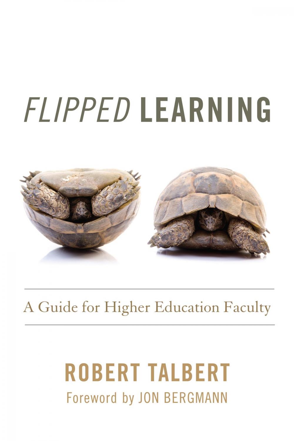 Big bigCover of Flipped Learning