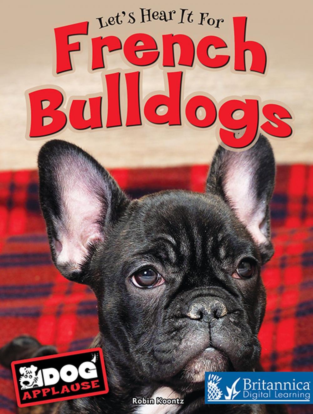 Big bigCover of French Bulldogs