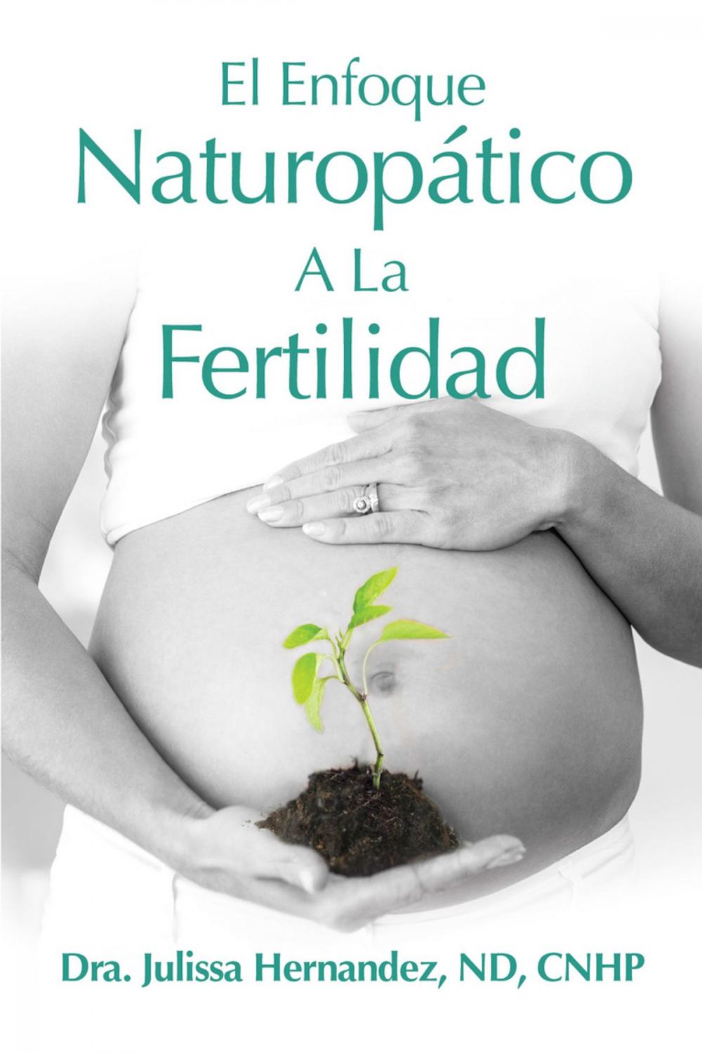 Big bigCover of El Enfoque Naturopática A La Fertilidad