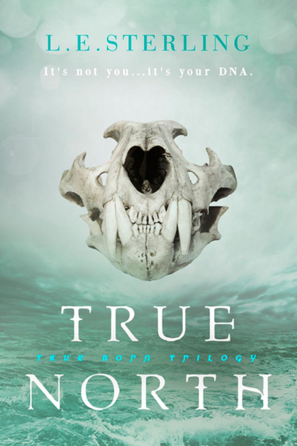 Big bigCover of True North