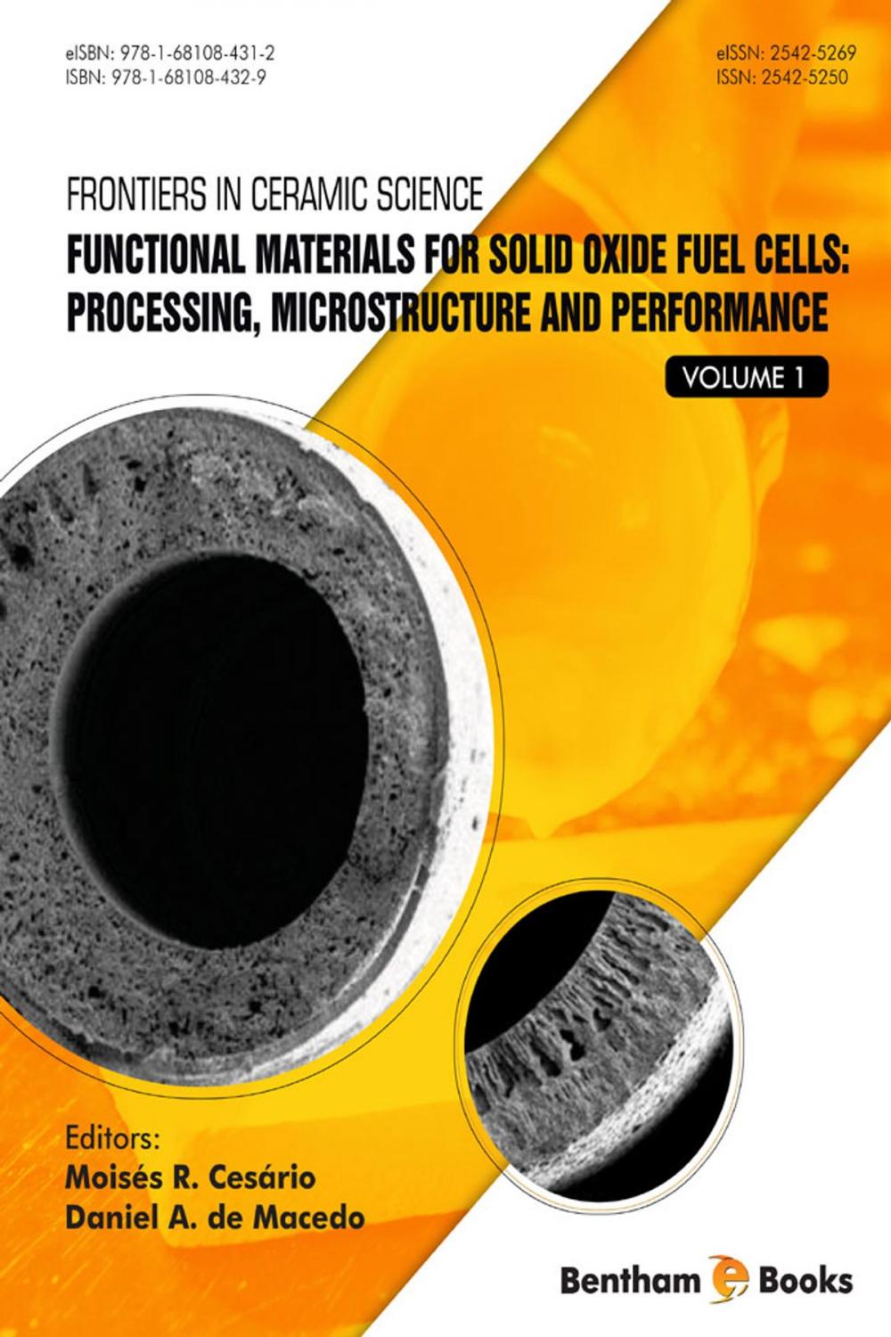 Big bigCover of Functional Materials for Solid Oxide Fuel Cells: Processing, Microstructure and Performance