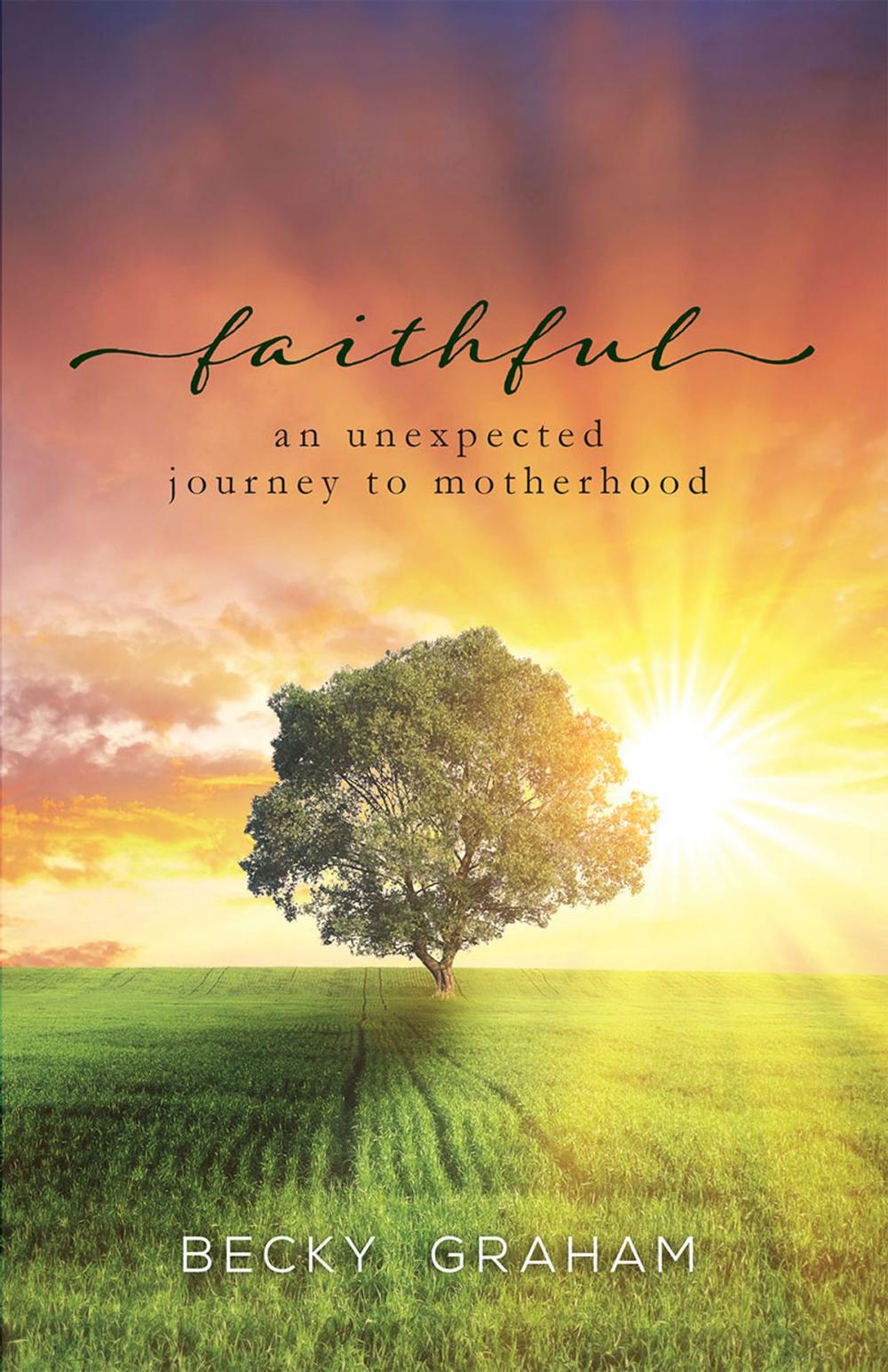 Big bigCover of Faithful: An Unexpected Journey to Motherhood