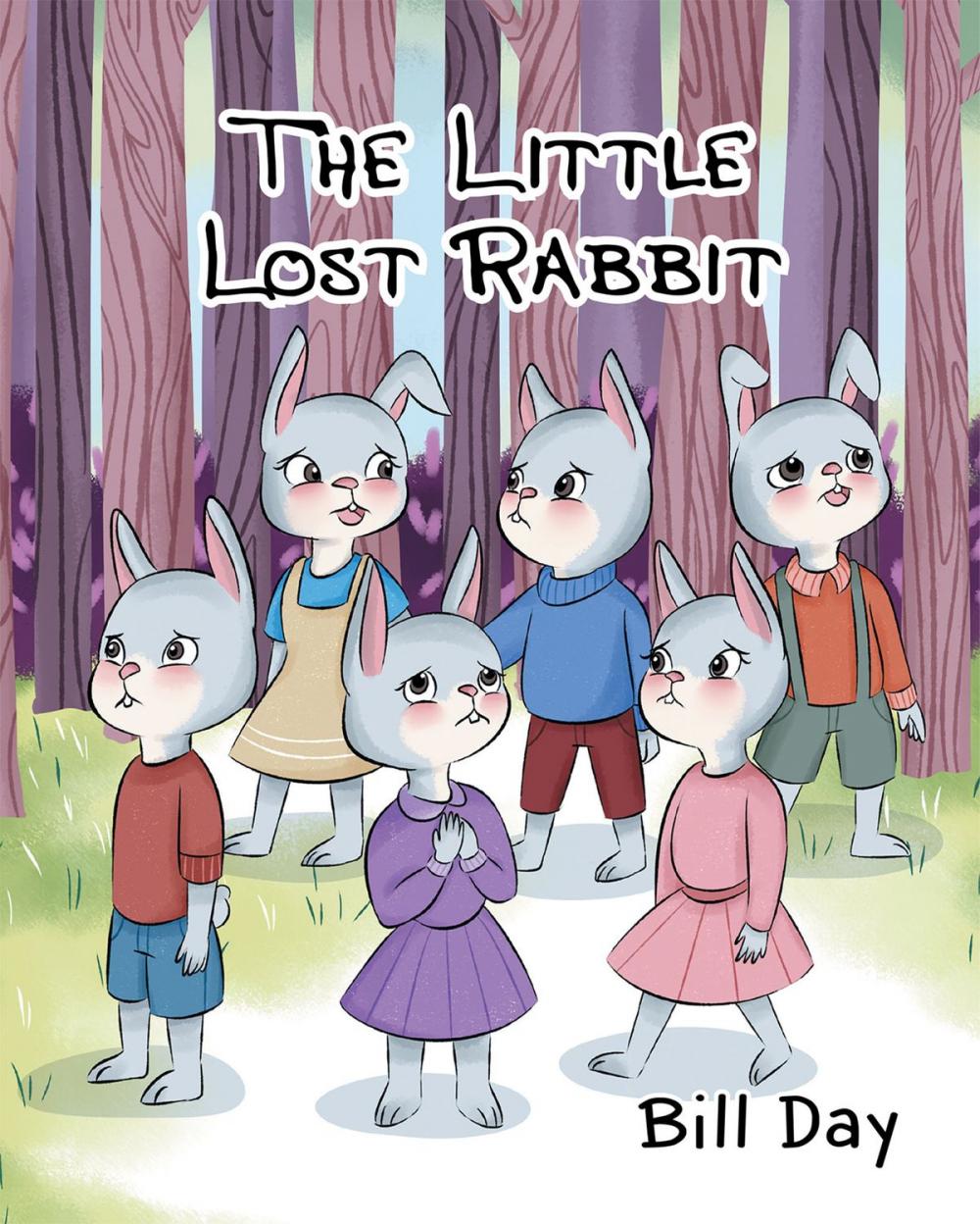 Big bigCover of The Little Lost Rabbit