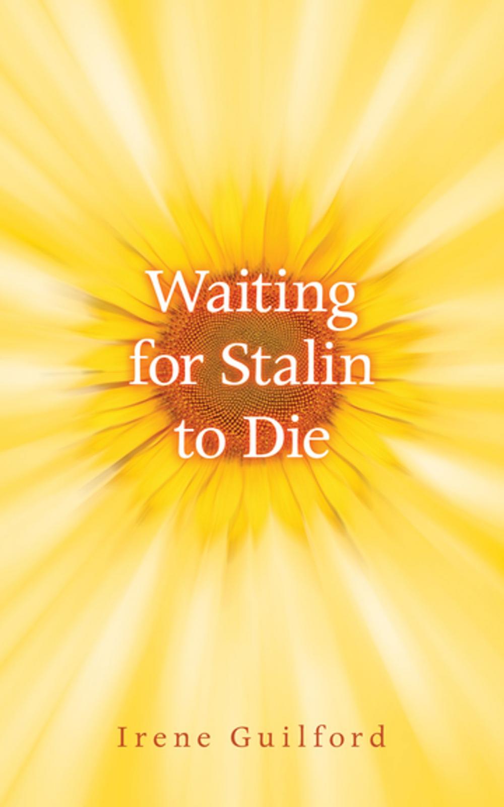 Big bigCover of Waiting for Stalin to Die