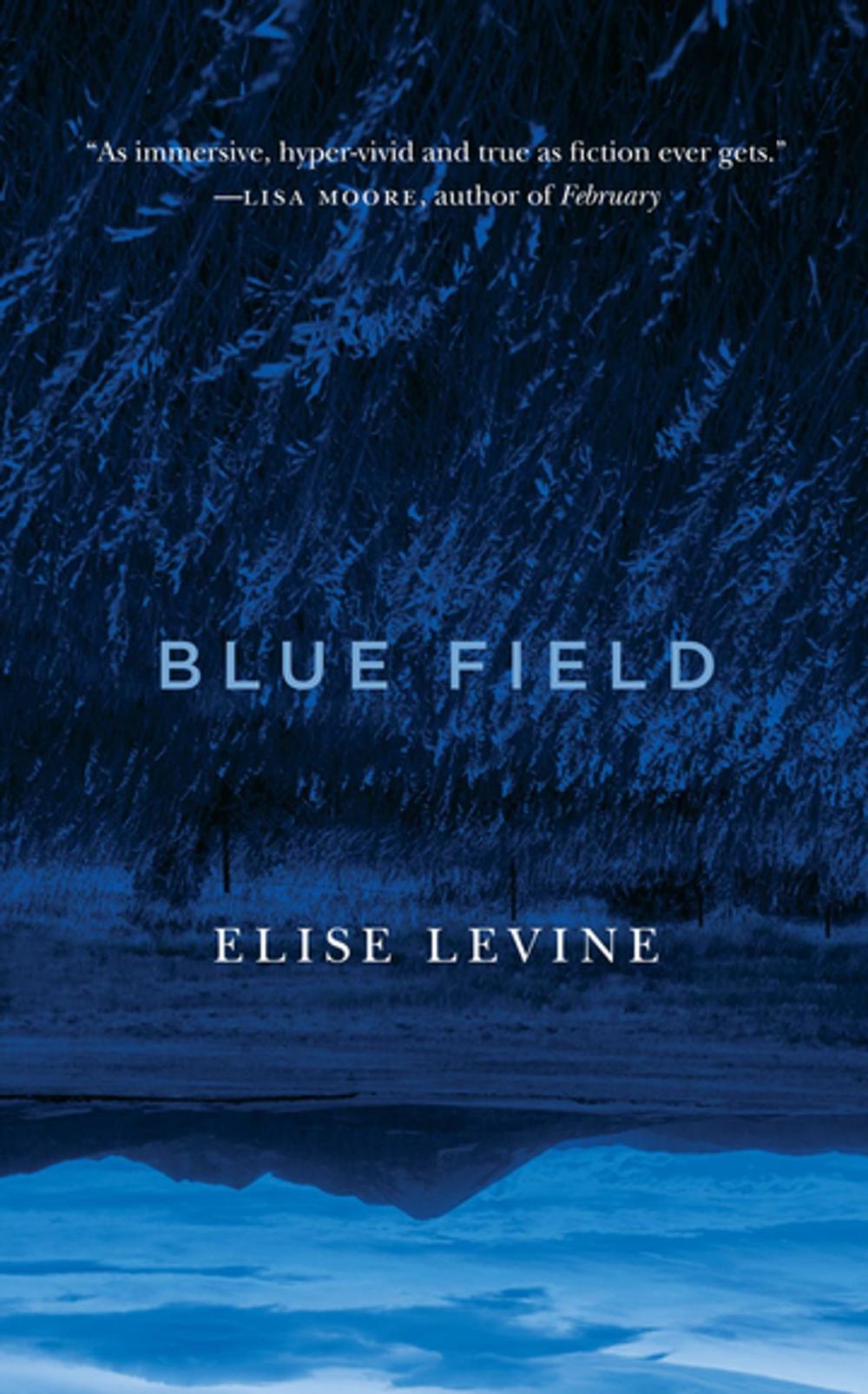 Big bigCover of Blue Field