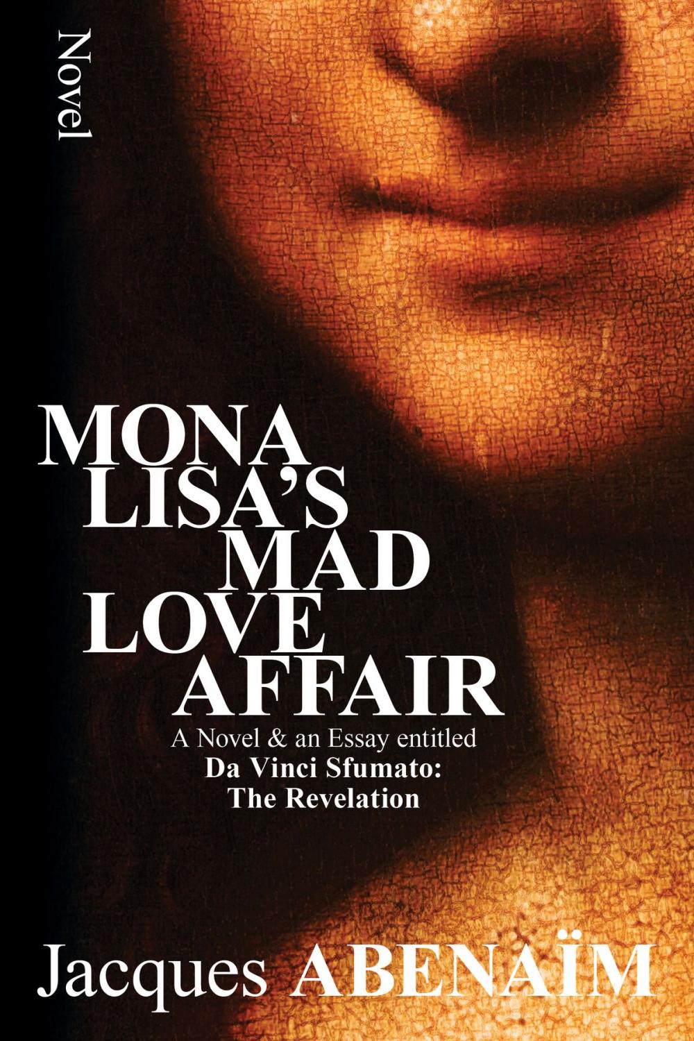 Big bigCover of Mona Lisa's Mad Love Affair